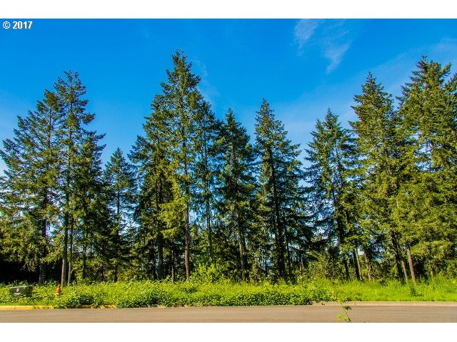 24703 ASPEN RIDGE DR, Veneta, OR 97487