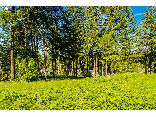24703 ASPEN RIDGE DR, Veneta, OR 97487
