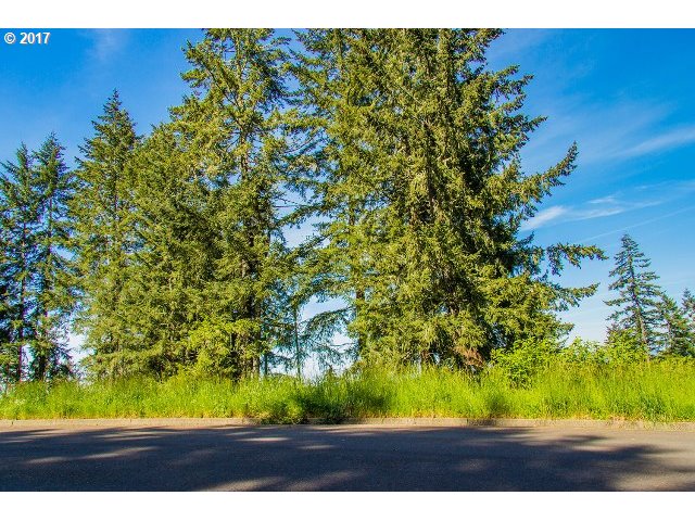 24711 ASPEN RIDGE DR, Veneta, OR 97487