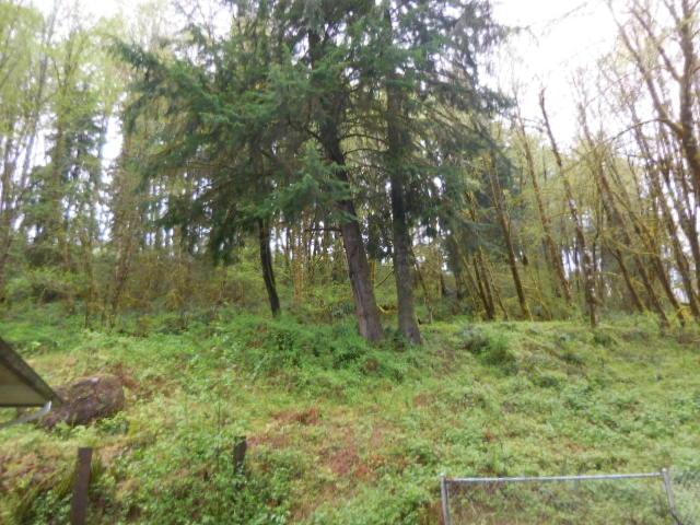 45318 Goodpasture RdVida, OR, 97488Lane County