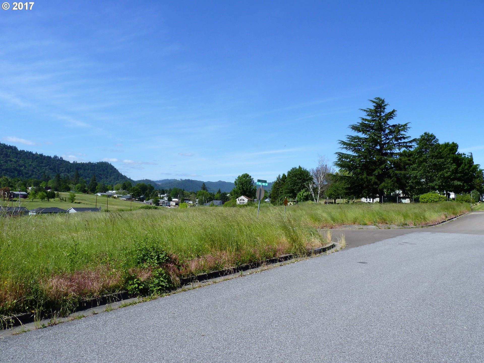 505 SE ROSE RIDGE DR 1, Winston, OR 97496