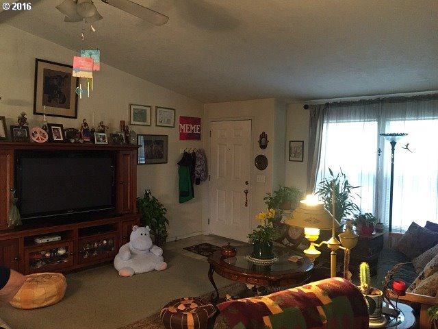 393 BREMNER LN, Winston, OR 97496