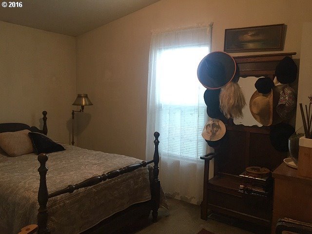393 BREMNER LN, Winston, OR 97496