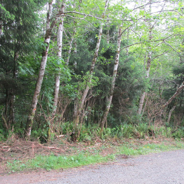 TL 126 NE HEMLOCK, Yachats, OR 97498