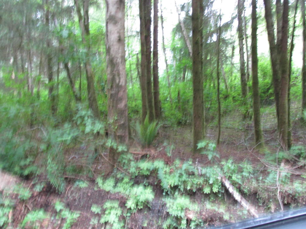 TL 126 NE HEMLOCK, Yachats, OR 97498