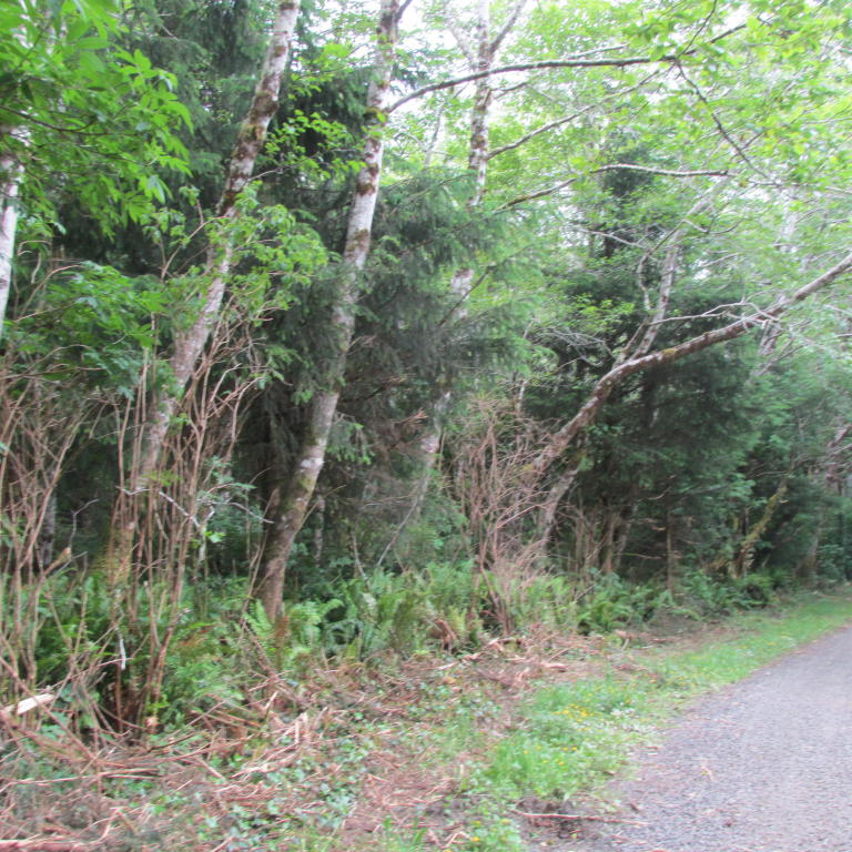 TL 126 NE HEMLOCK, Yachats, OR 97498