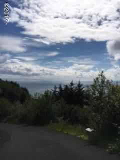 TL#5600 Horizon Hill, Yachats, OR 97498