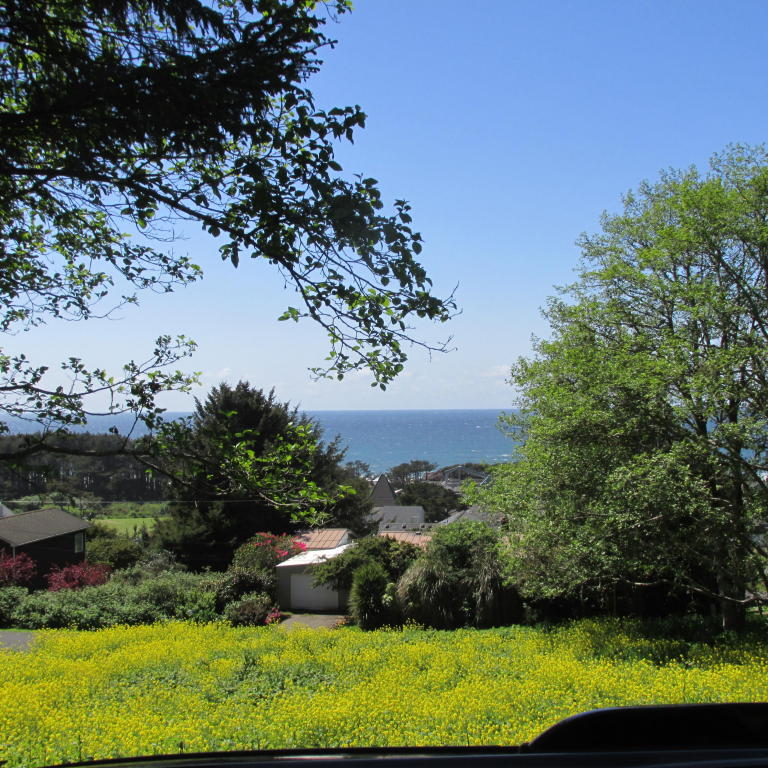 315 RADAR, Yachats, OR 97498