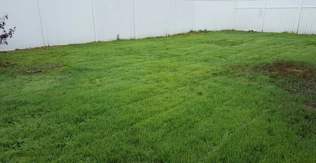 95 Elk StMedford, OR, 97501Jackson County