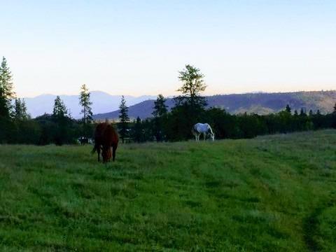 0 Antioch Road, White City, OR 97503