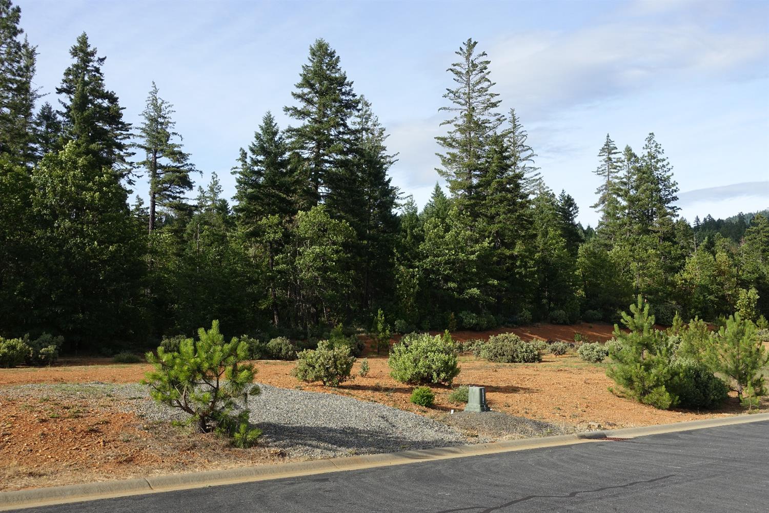 371 Cedar Ridge Drive, Cave Junction, OR 97523