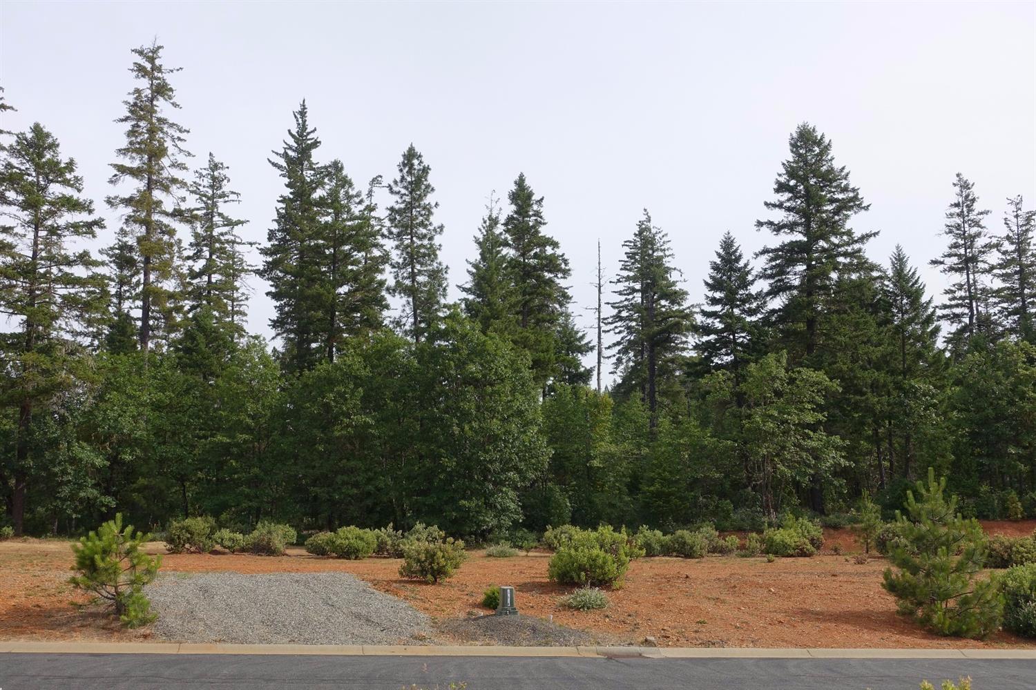 371 Cedar Ridge Drive, Cave Junction, OR 97523