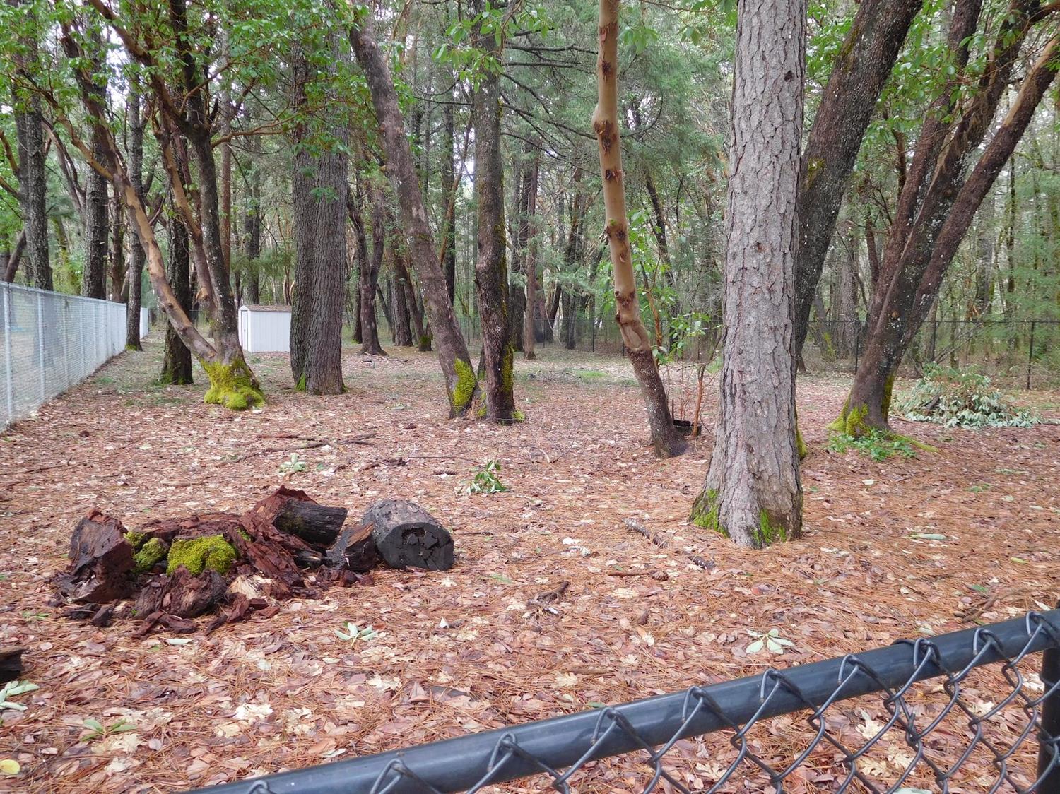 220 S Kerby Avenue, Cave Junction, OR 97523