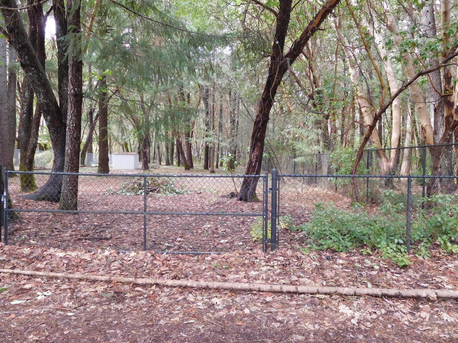 220 S Kerby Avenue, Cave Junction, OR 97523