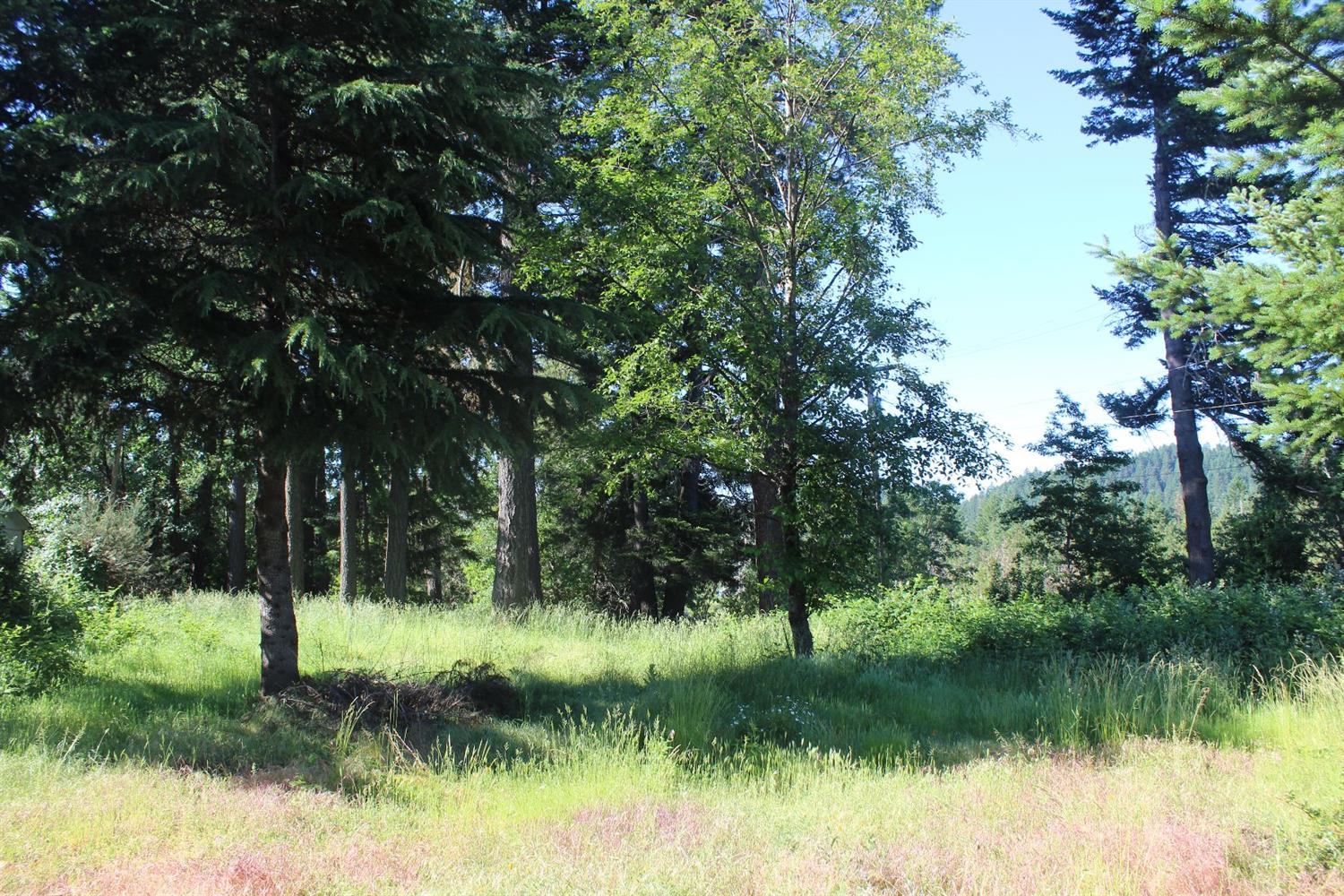 567 W River Street, Cave Junction, OR 97523