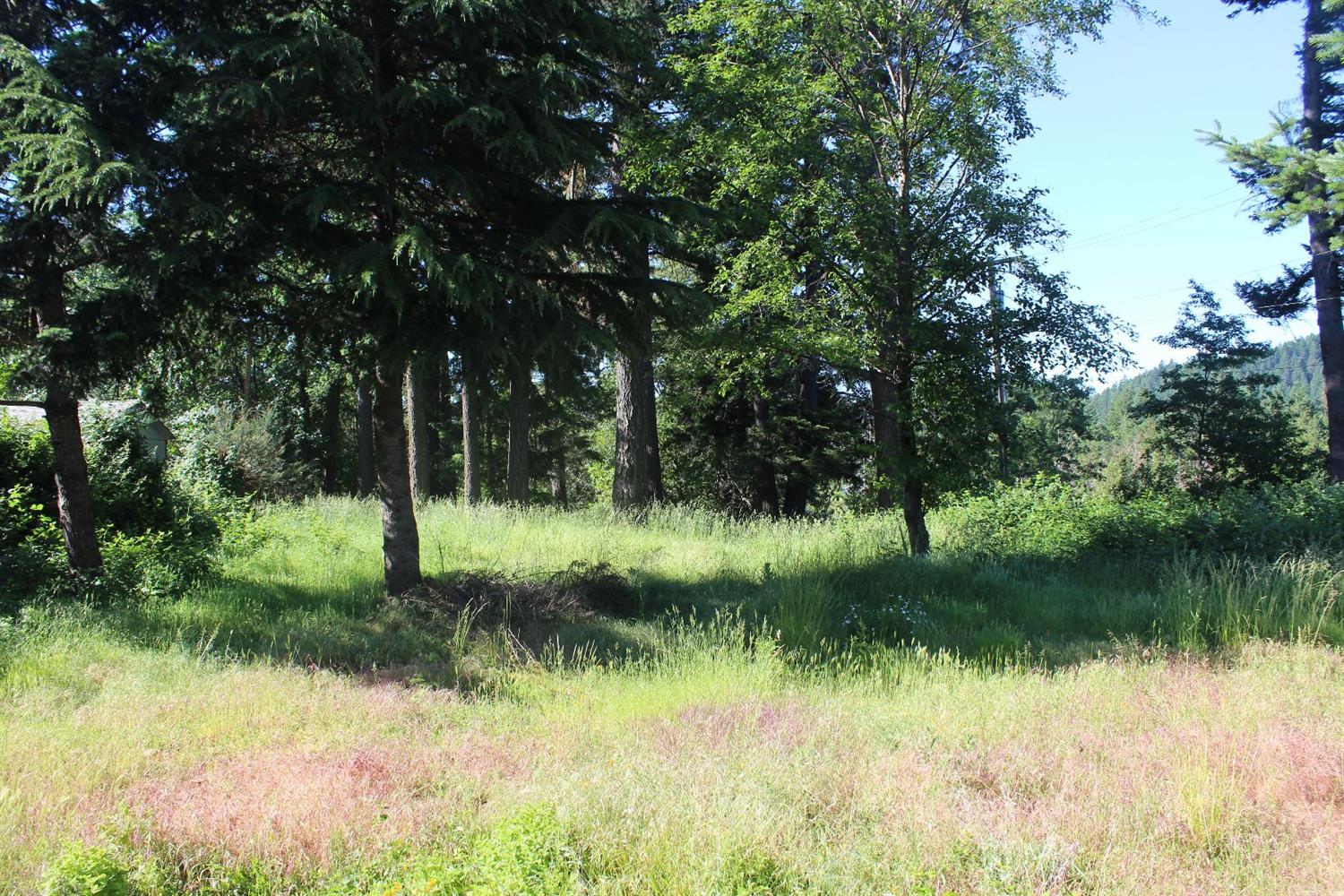 567 W River Street, Cave Junction, OR 97523
