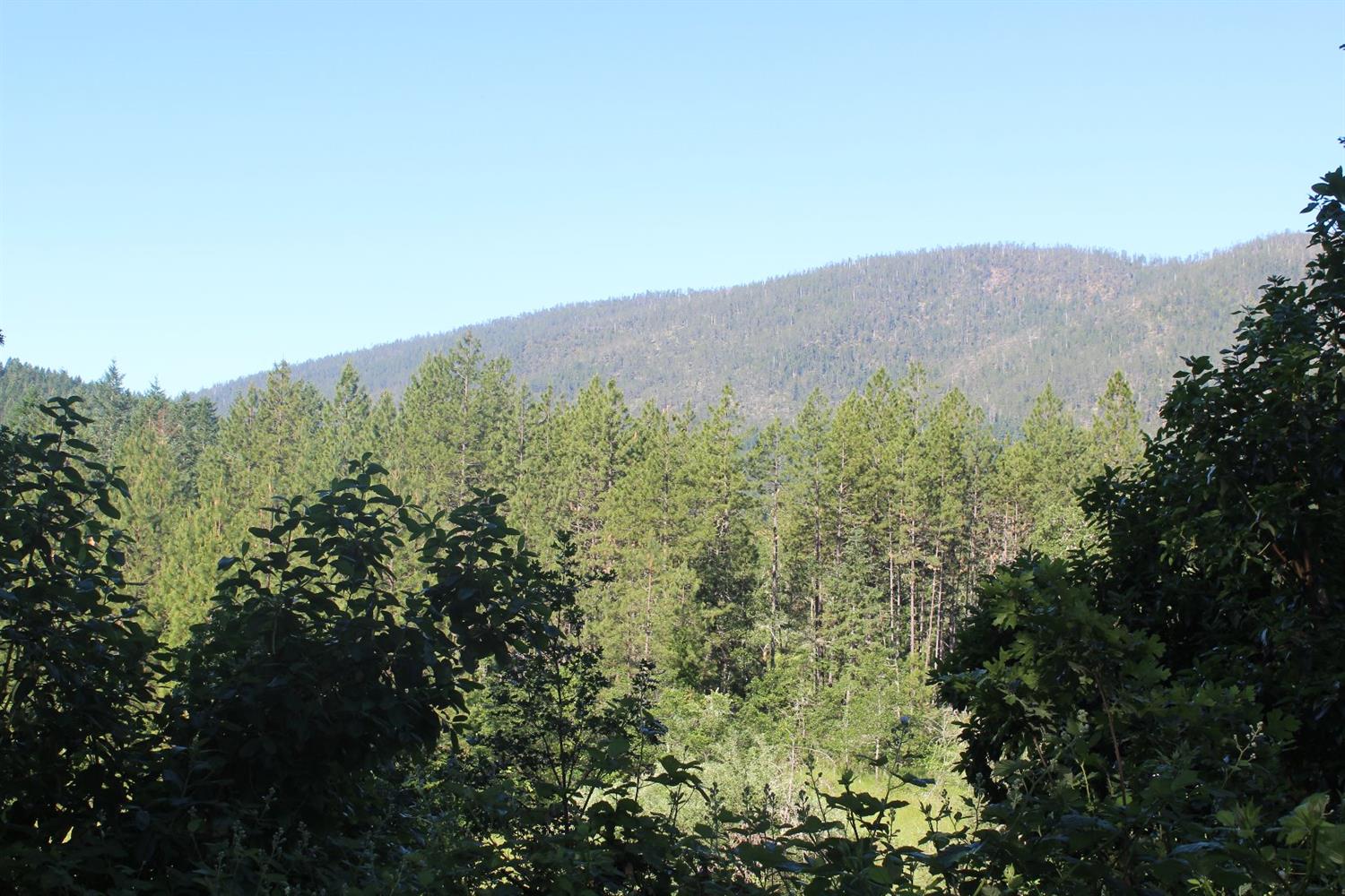 567 W River Street, Cave Junction, OR 97523