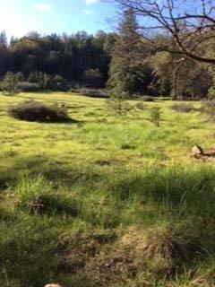 0 Jeannie Way, Cave Junction, OR 97523