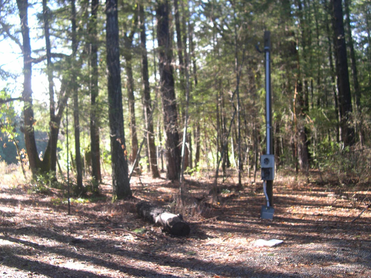590 N Old Stage Road, Cave Junction, OR 97523