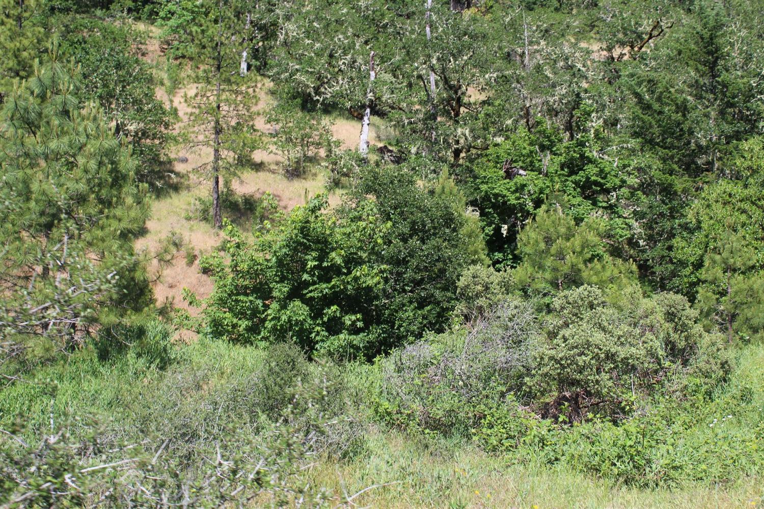 7001 Takilma Road, Cave Junction, OR 97523