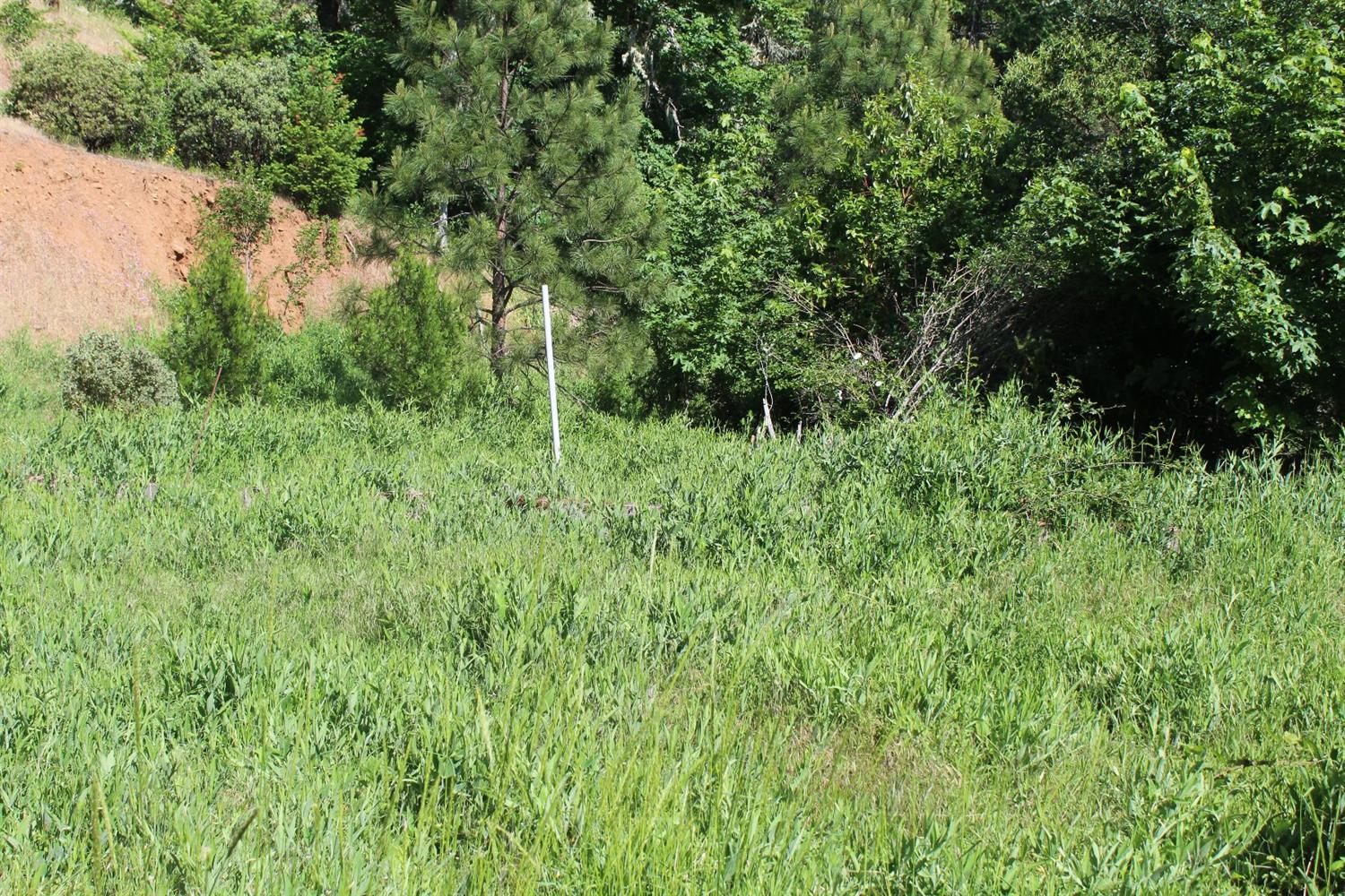 7001 Takilma Road, Cave Junction, OR 97523