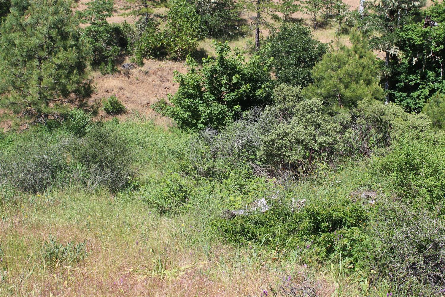 7001 Takilma Road, Cave Junction, OR 97523