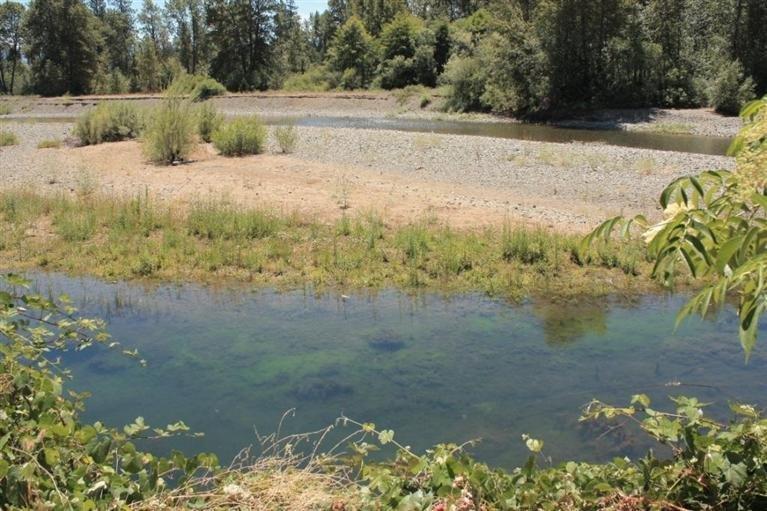 537 E Forks Circle, Cave Junction, OR 97523