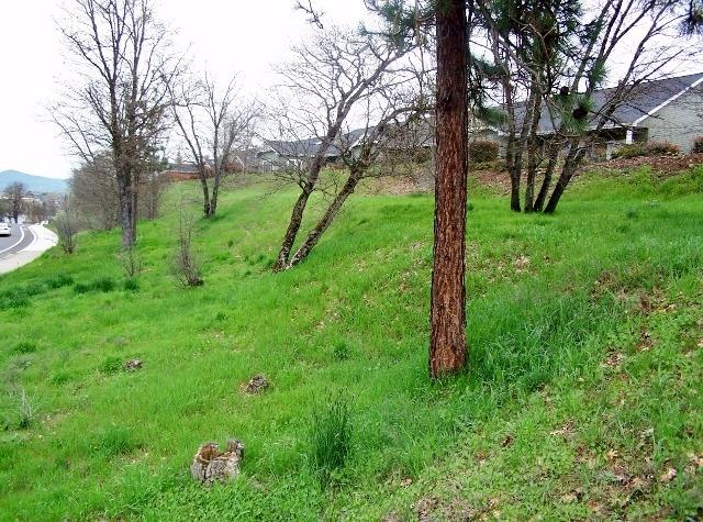 0-0 S Shasta Avenue, Eagle Point, OR 97524