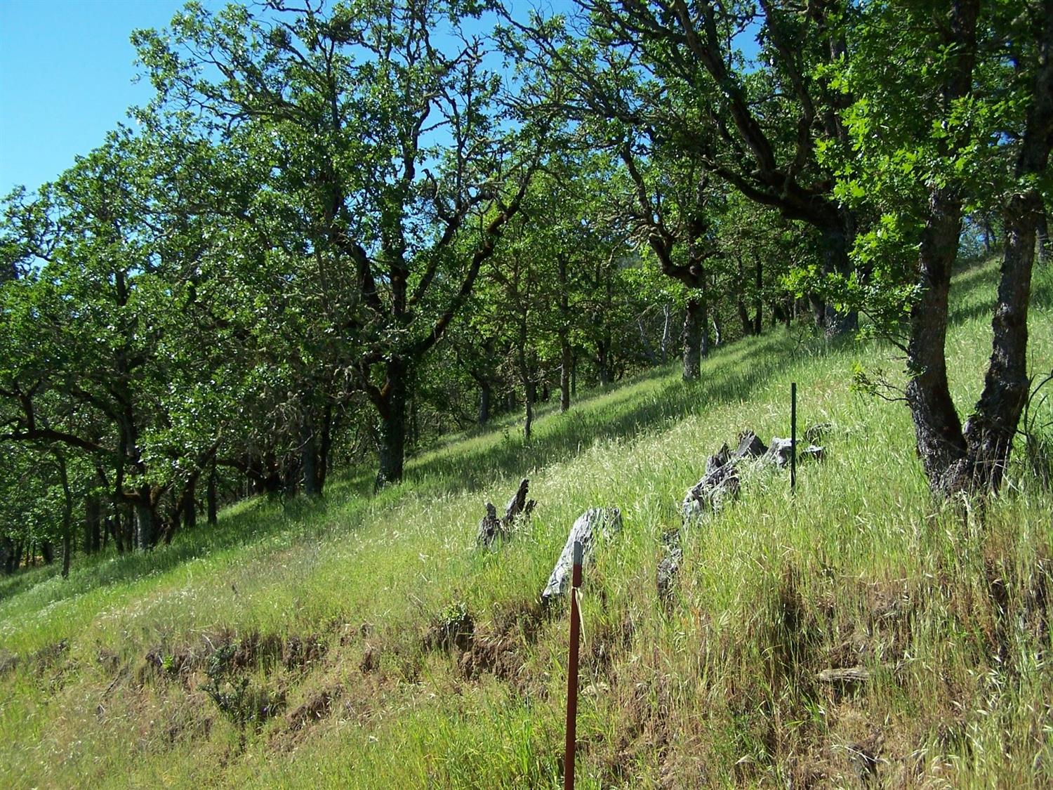 1500-TL N Sixth Street, Gold Hill, OR 97525