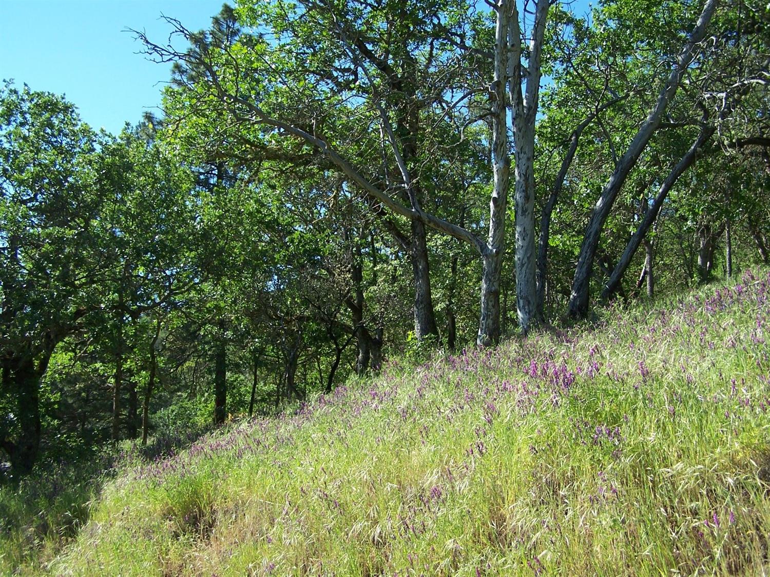 1500-TL N Sixth Street, Gold Hill, OR 97525