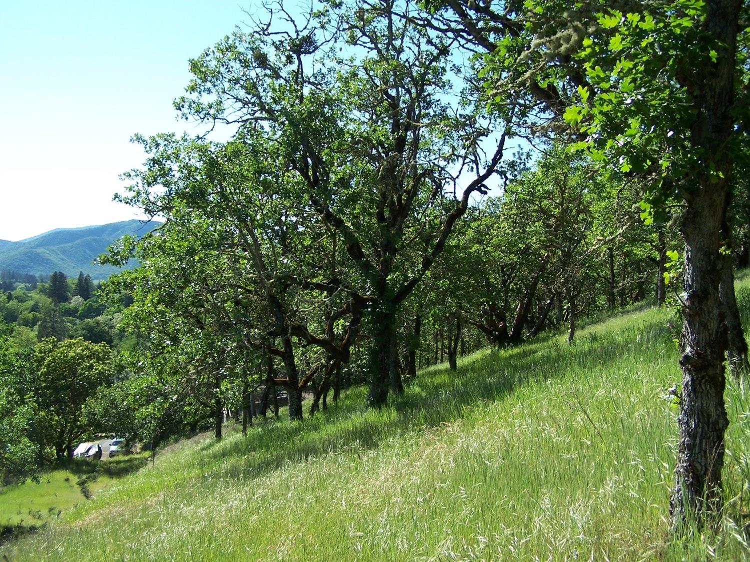 1500-TL N Sixth Street, Gold Hill, OR 97525