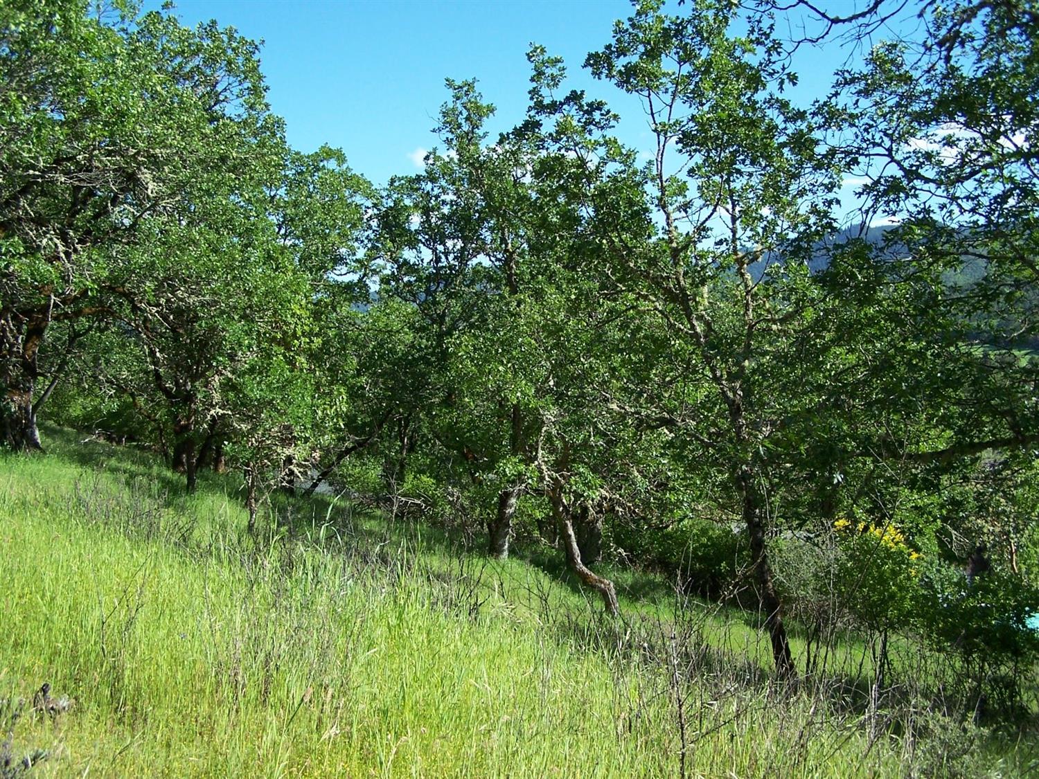 1500-TL N Sixth Street, Gold Hill, OR 97525