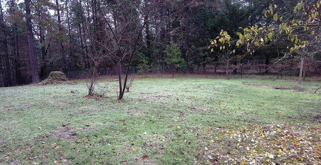 4885 Azalea DrGrants Pass, OR, 97526Josephine County