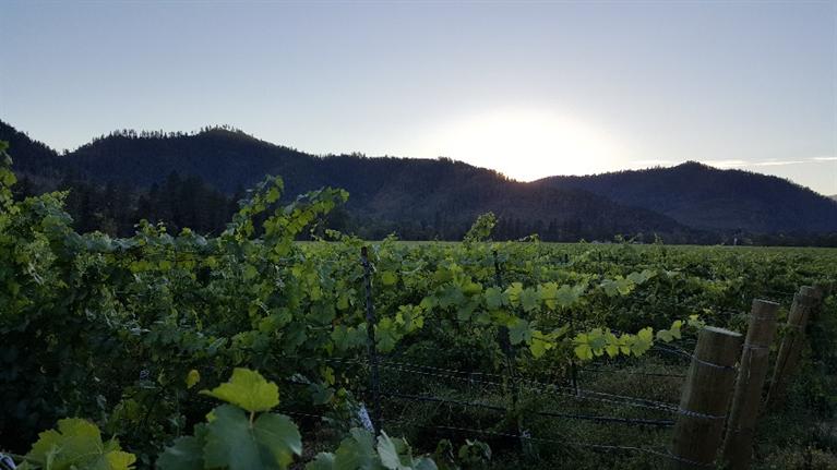 18485 N Applegate Road, Grants Pass, OR 97527