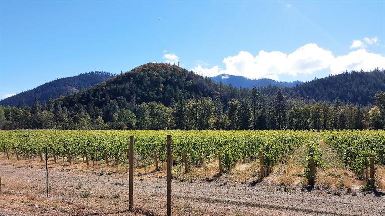 18485 N Applegate Road, Grants Pass, OR 97527