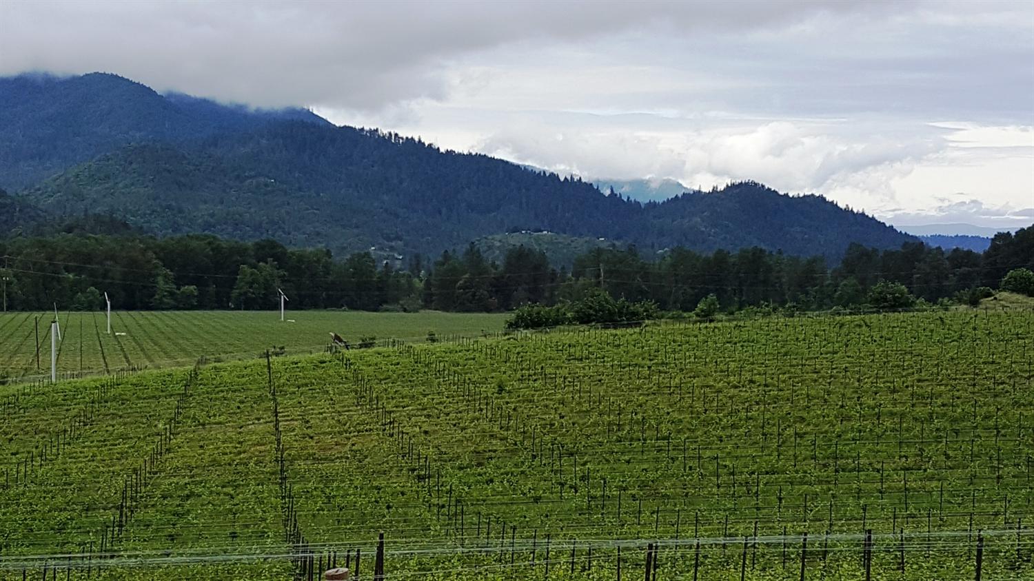 13511 N Applegate Road, Grants Pass, OR 97527