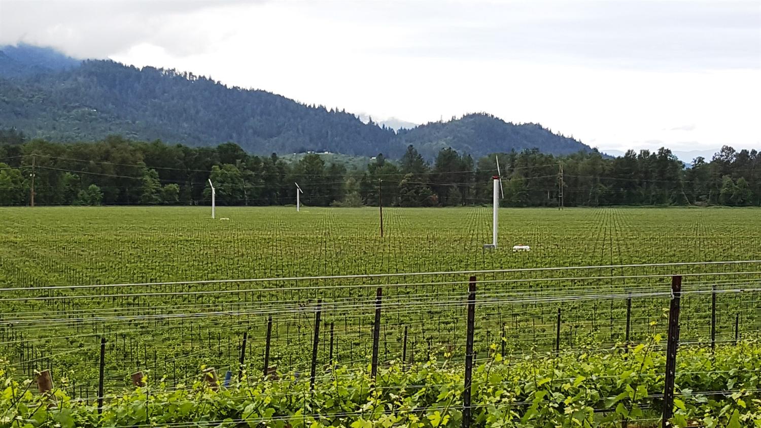 13511 N Applegate Road, Grants Pass, OR 97527