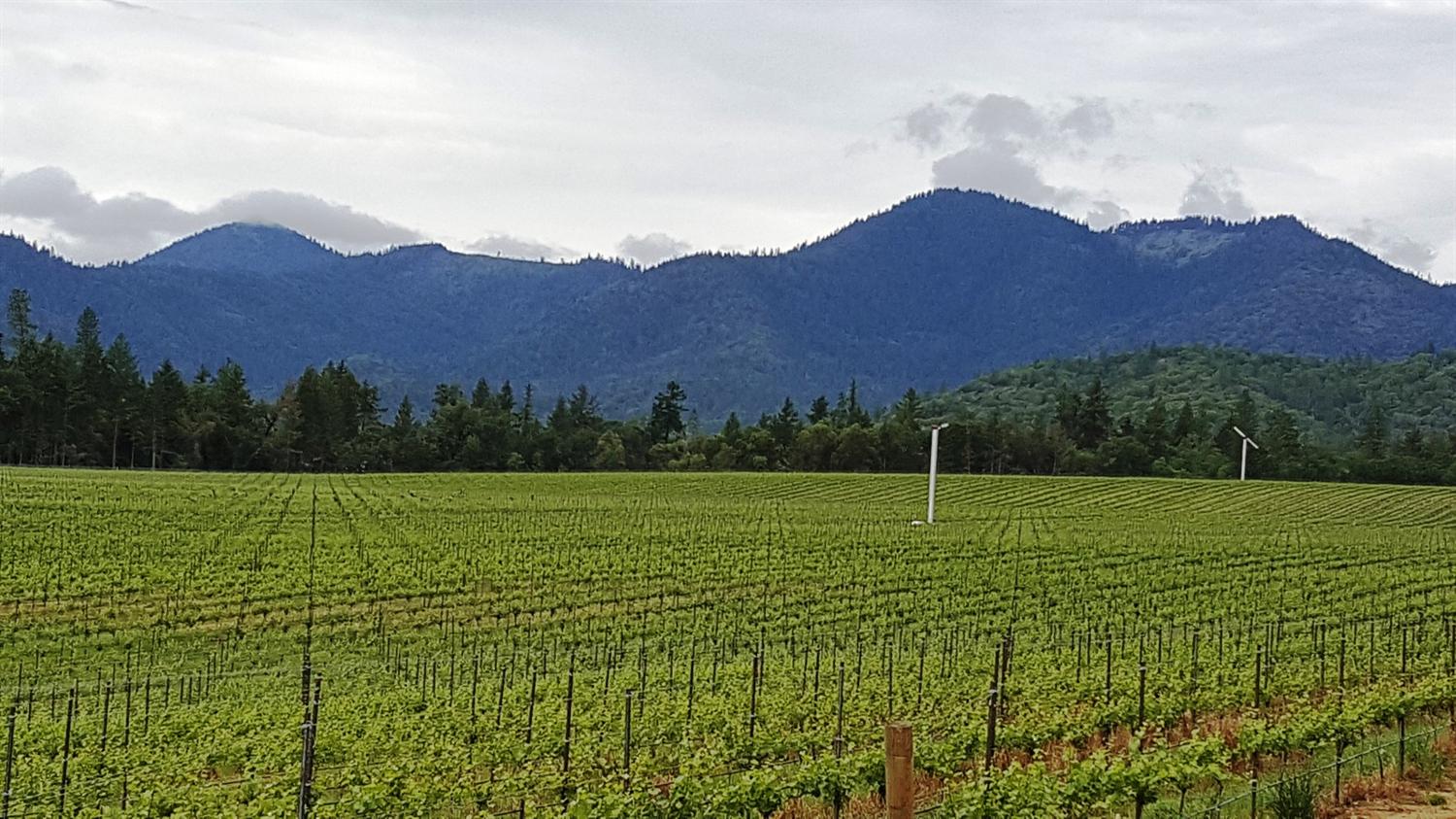 13511 N Applegate Road, Grants Pass, OR 97527