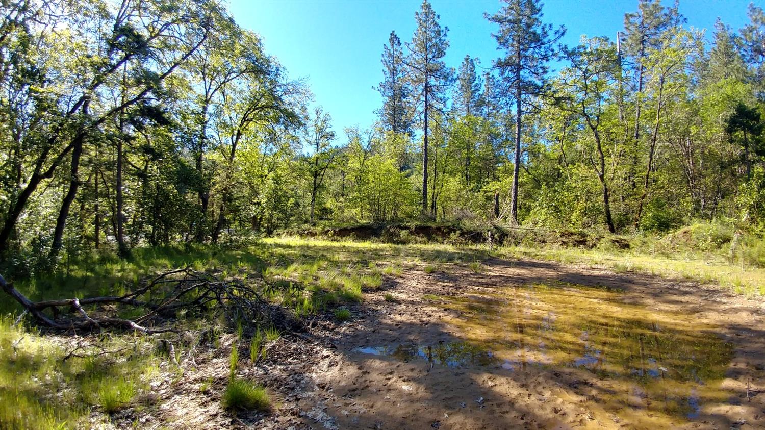 120 Arbor Ridge Drive, Grants Pass, OR 97527