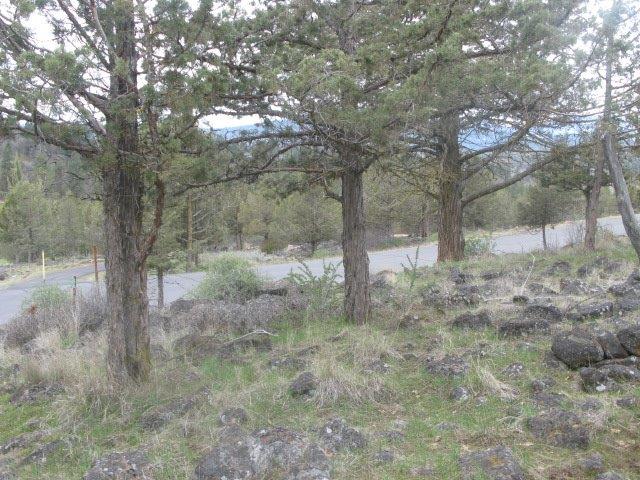 0 Kestrel Lot 707 Road, Klamath Falls, OR 97601