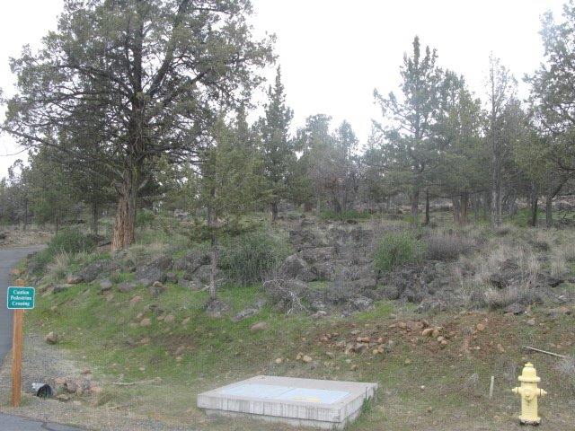 0 Kestrel Lot 707 Road, Klamath Falls, OR 97601