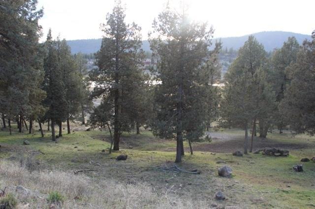0-LOT 281 Kingbird, Klamath Falls, OR 97601