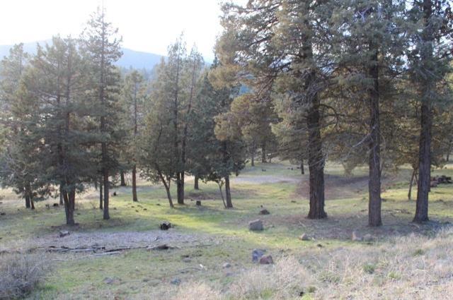0-LOT 281 Kingbird, Klamath Falls, OR 97601