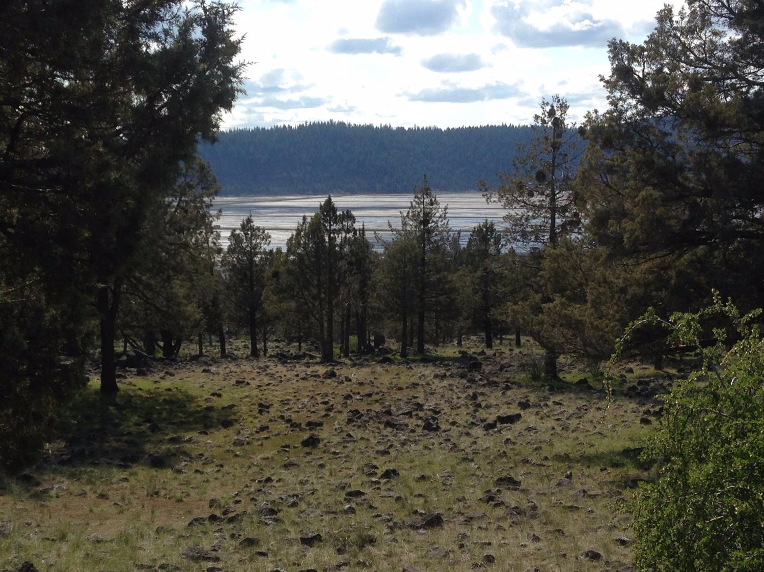 0 Coopers Hawk Lot 799 Road, Klamath Falls, OR 97601