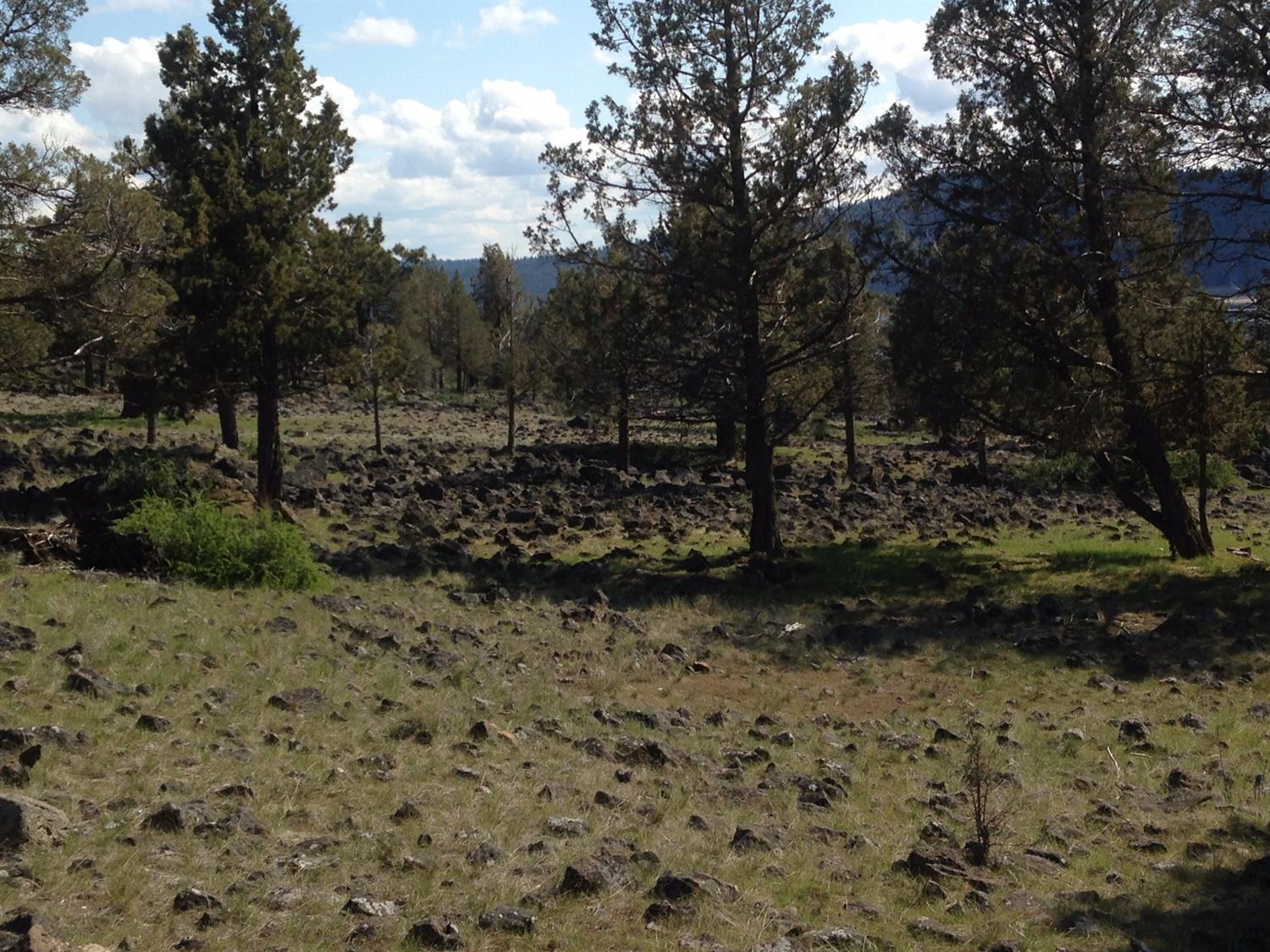 0 Coopers Hawk Lot 799 Road, Klamath Falls, OR 97601