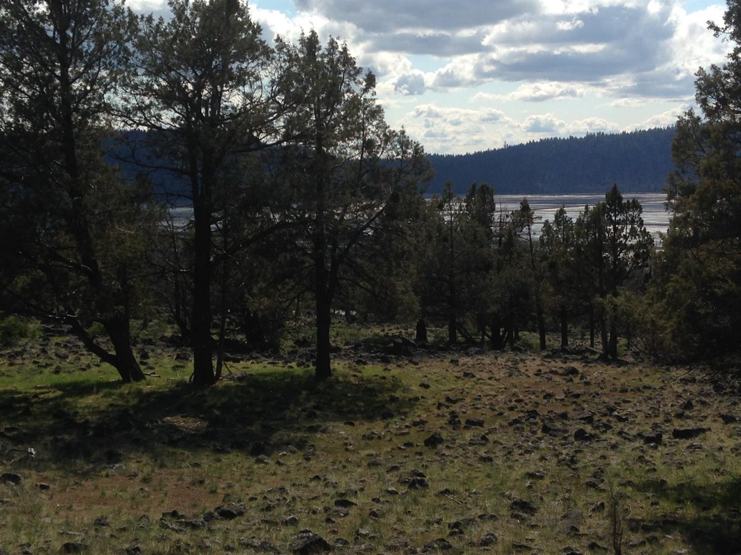 0 Coopers Hawk Lot 799 Road, Klamath Falls, OR 97601