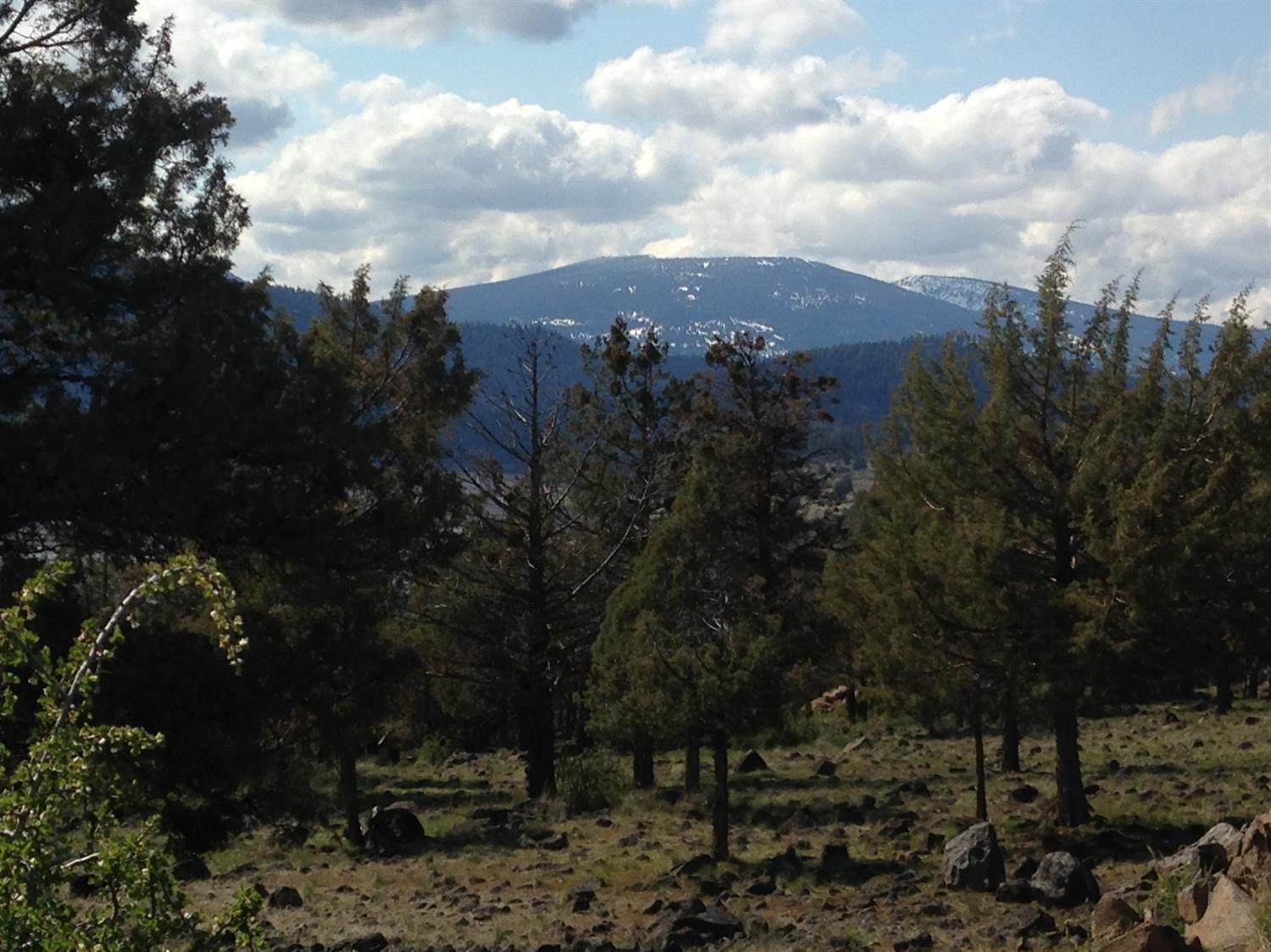0 Coopers Hawk Lot 799 Road, Klamath Falls, OR 97601