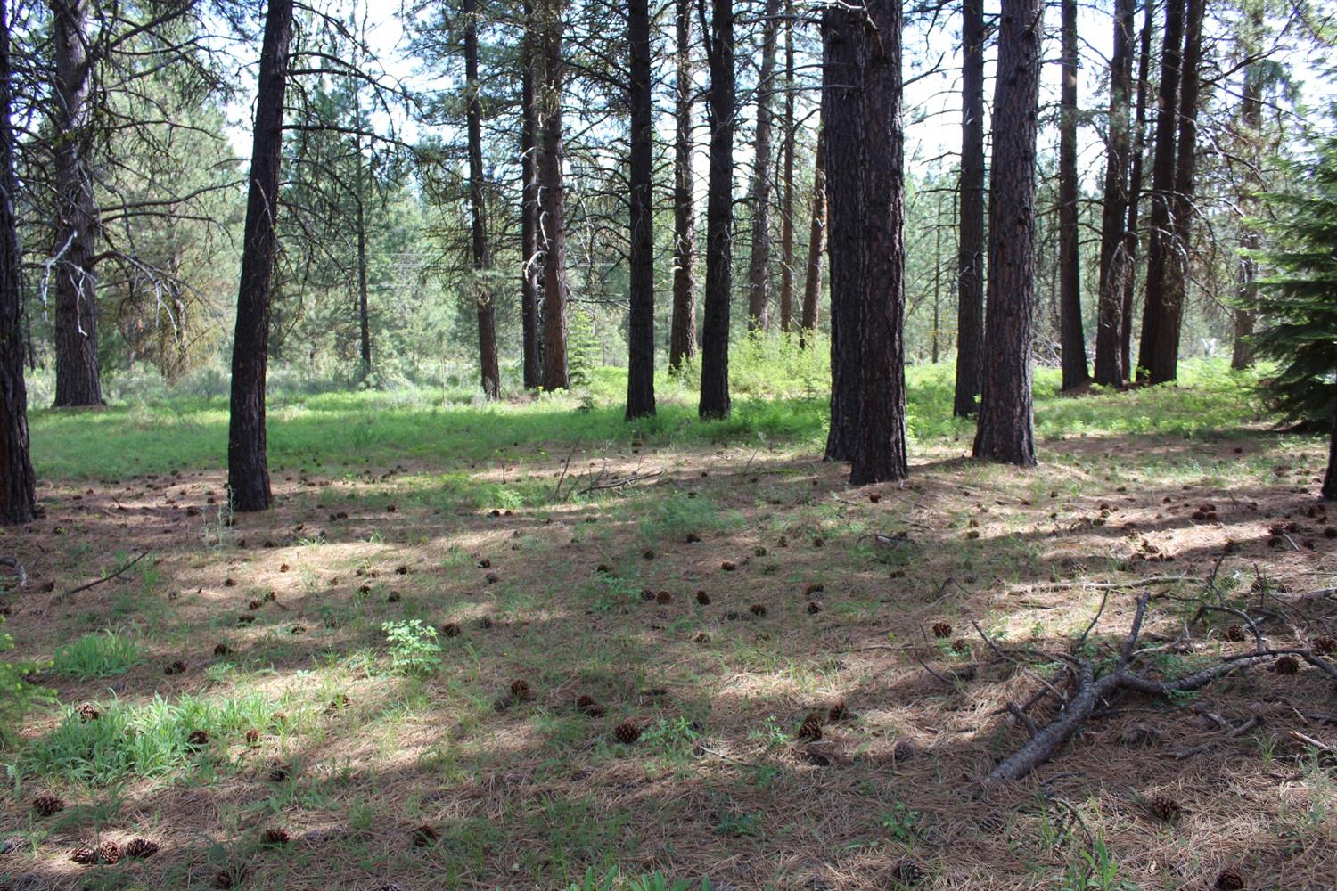 0 Harriette Drive, Klamath Falls, OR 97601