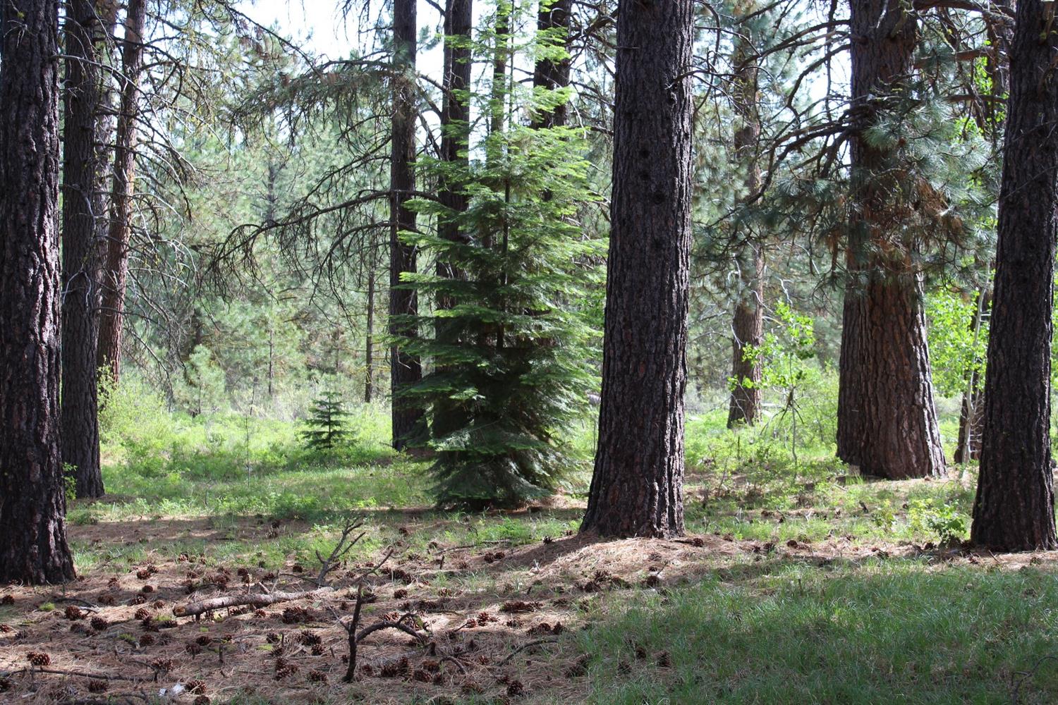 0 Harriette Drive, Klamath Falls, OR 97601