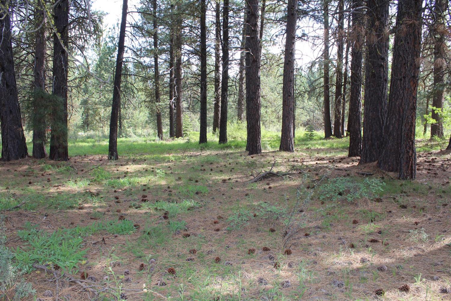 0 Harriette Drive, Klamath Falls, OR 97601